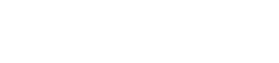 Section-8_CHI